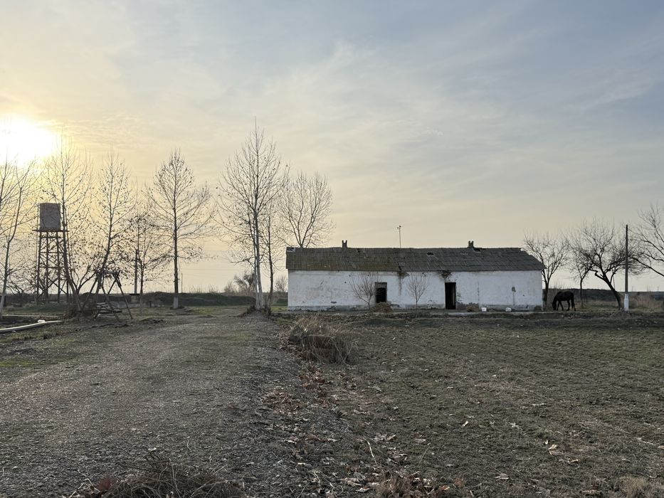 Daryo boyida bino inshoat va yer