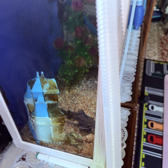 Аквариум уютный для дома очень хороший