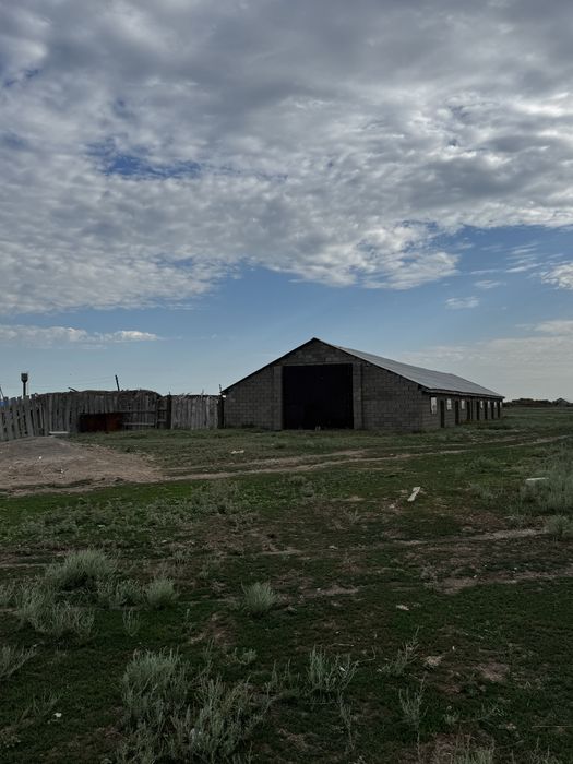 Продам КХ  дом и кашар для откорм