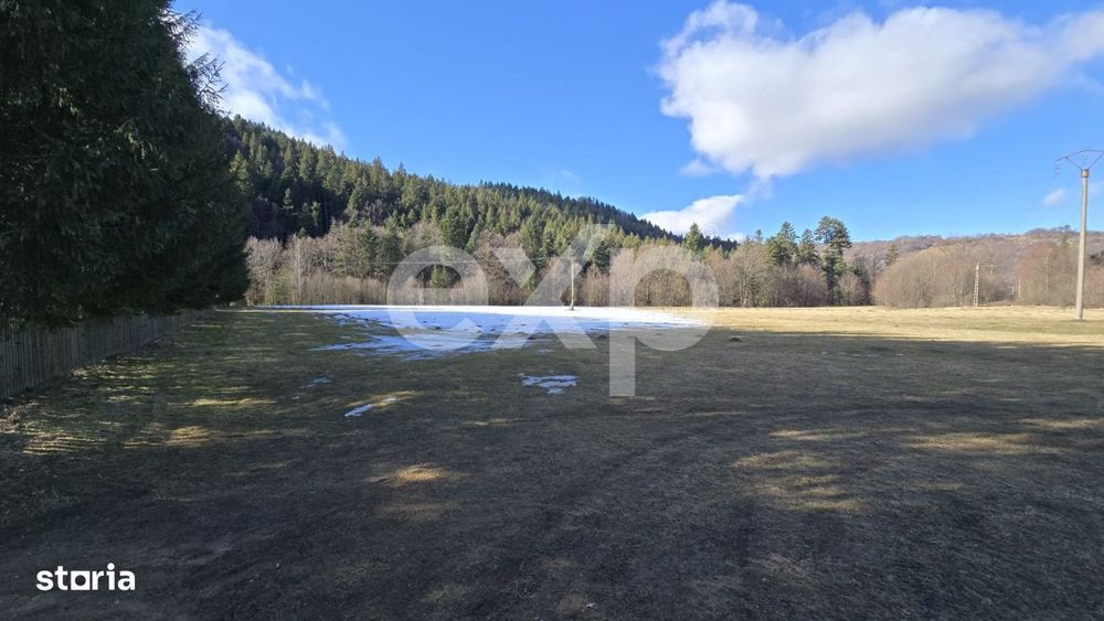 Teren extravilan 19.200 mp – DN1A Sacele, Bradet | Front stradal 130