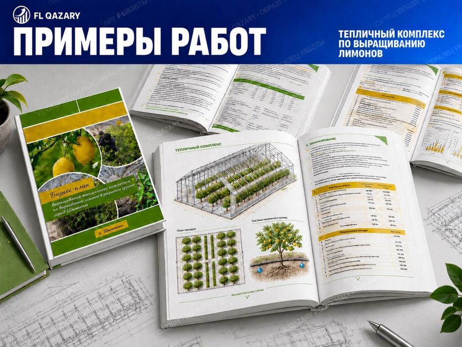Бизнес план, ТЭО разработка - 35 тыс. тг