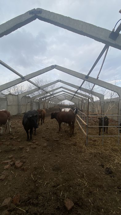 Продам Базу для откорм