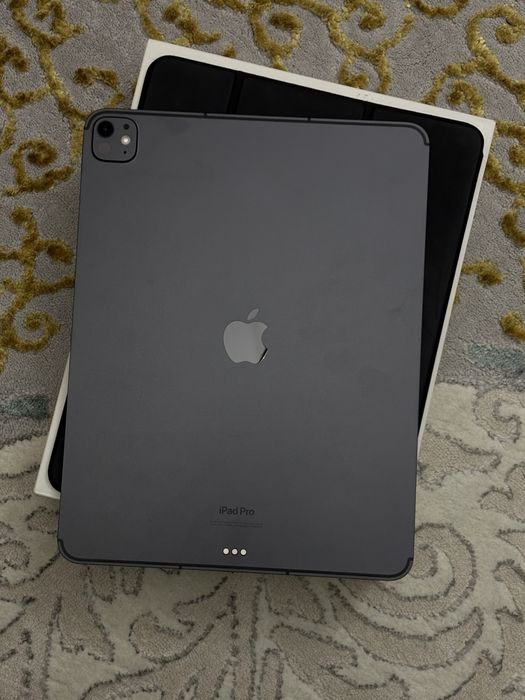 Ipad Pro M4   13