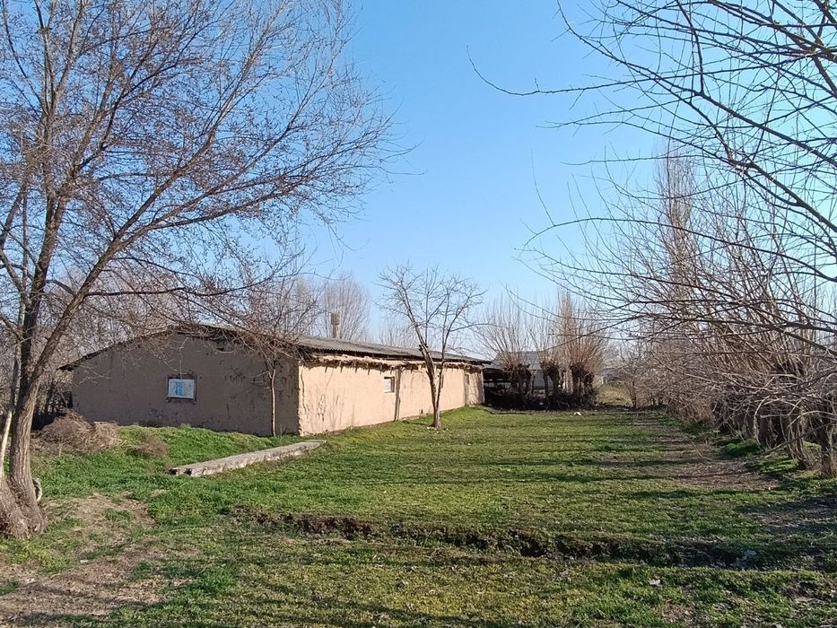 Molxona sotiladi - Sirdaryo viloyati Sayxunobod tumani