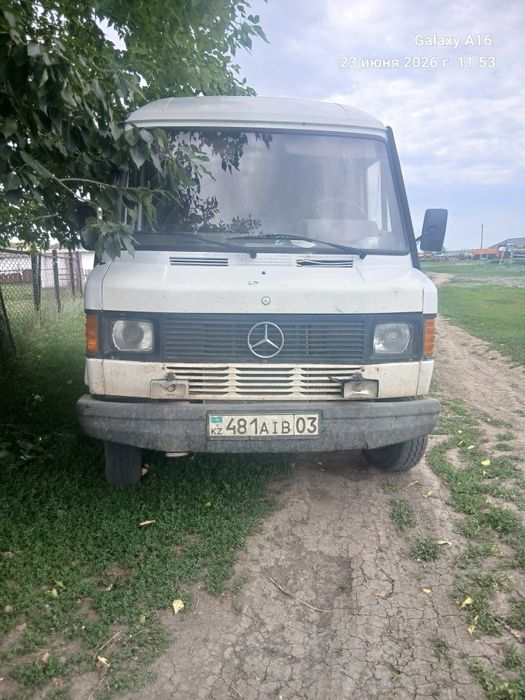 Продам обмен лошадей