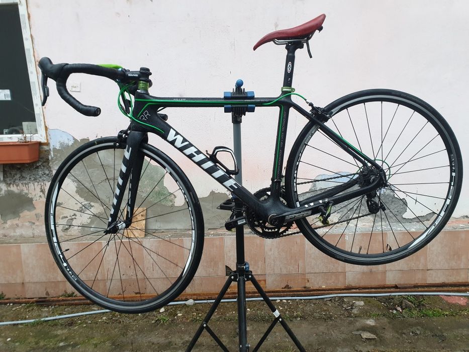 Cursiera carbon.