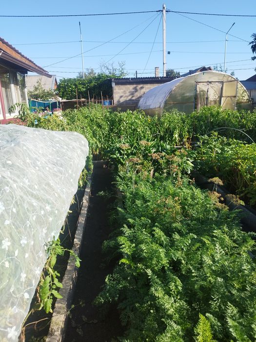 Продам дом-особняк