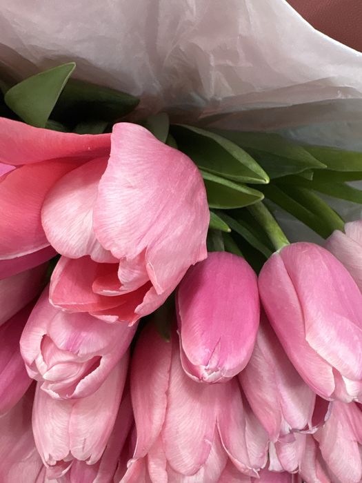 Тюльпан 25000 тенге