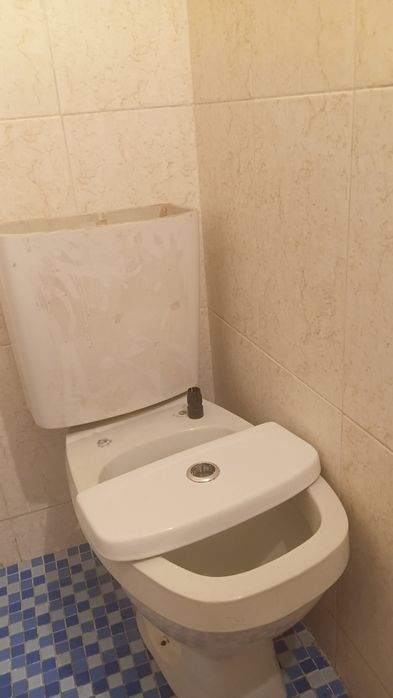 Унитаз для туалета