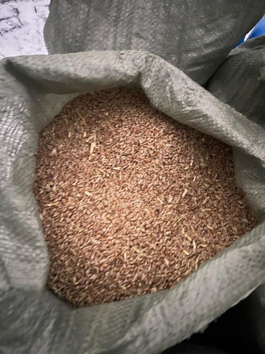 Продам зерноотходы