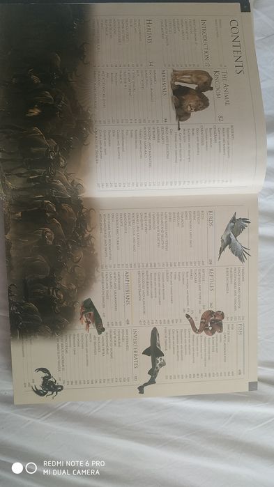 Энциклопедия DK Animals