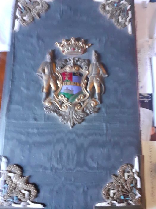 mapa TIMISOARA oras liber regesc 3.000 EURO