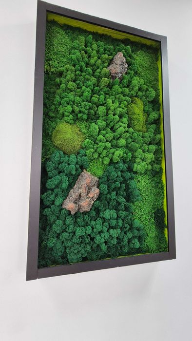 Картина из стабилизированного мха