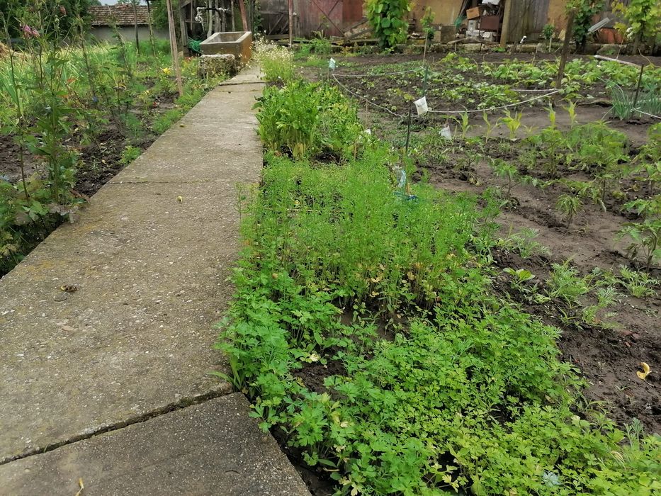 Продава се Къща в Алфатар - 120 кв.м за 276 €/кв.м - Снимка #15