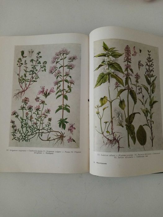 Фитотерапия лечение с билки.Антикварен справочник на бълг курорти и др