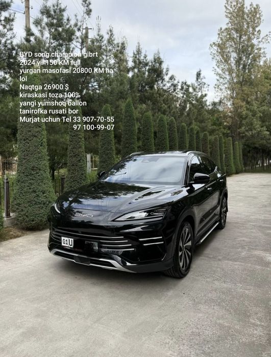 BYD Song Plus DM-i Champion 2024