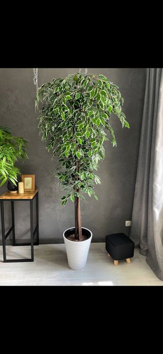 Искусственные деревья