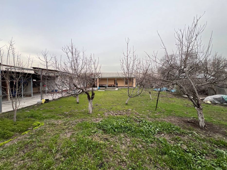 Yuqori chirchiq tumani politotdel