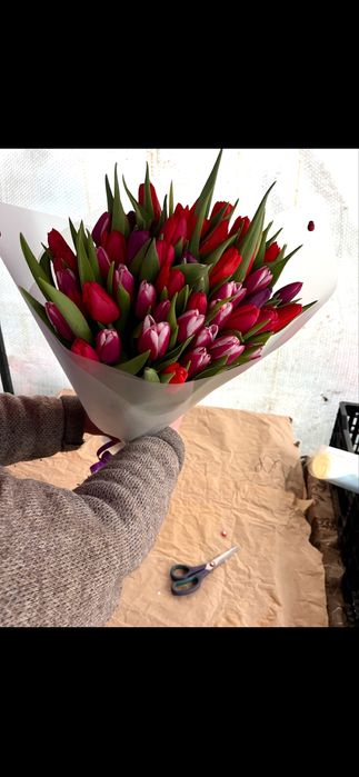 Тюльпаны оптом и в розницу