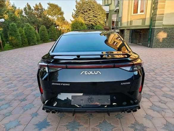Dongfeng Aeolus Shaen