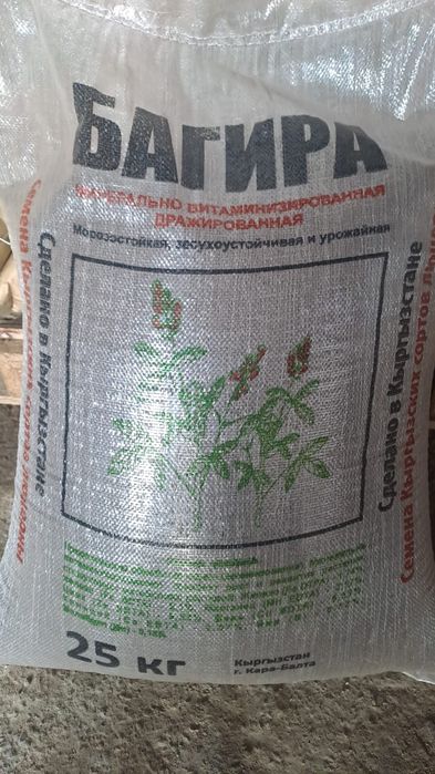 Продам семена луцерны сорт БАГИРА
