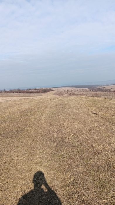 Curațăm pășuni  și terenuri împădurite