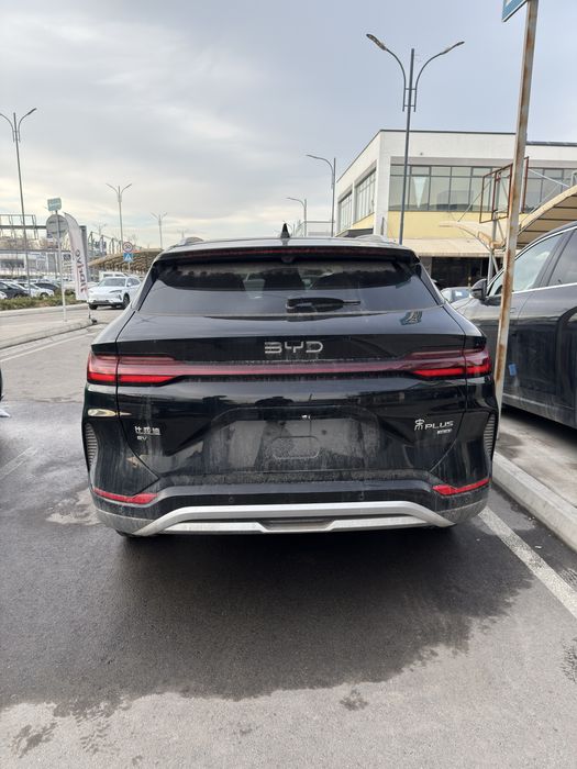 Byd chempion smart 25/26