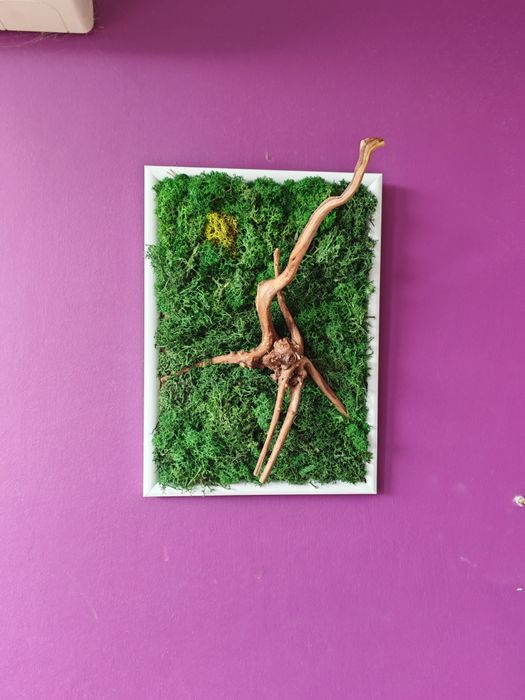 Картина от скандинавски мъх и корен от азалия