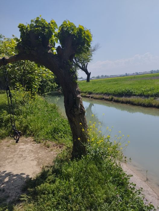 Продается дом. Уй сотилади. 14 сотх (1400кв,м)