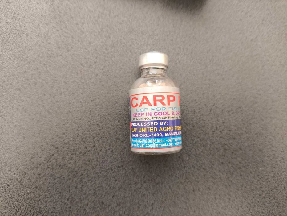 Гипофиз для карповых видов рыб