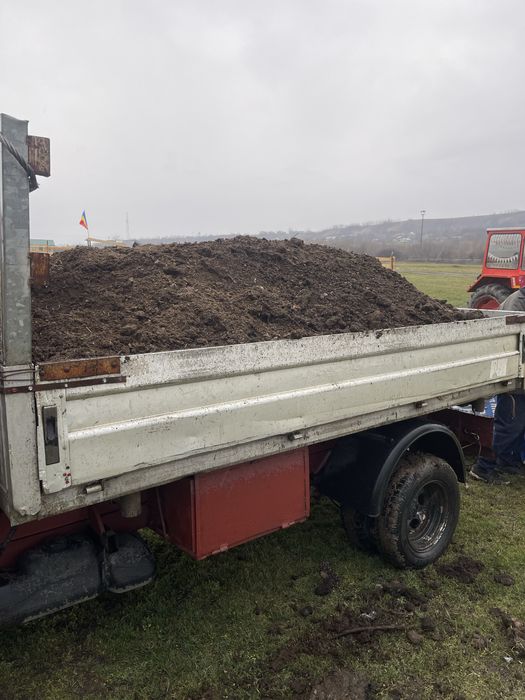 Pamant negru (mranita) gunoi de grajd