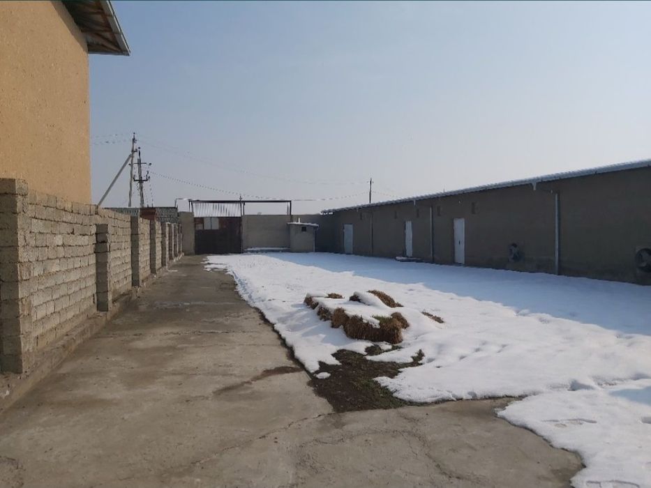 Сдается объект недвижимости.