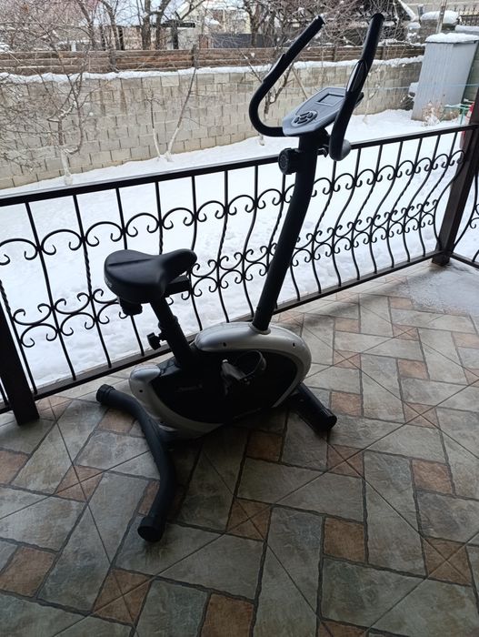 Велотренажёр Pegasus v4