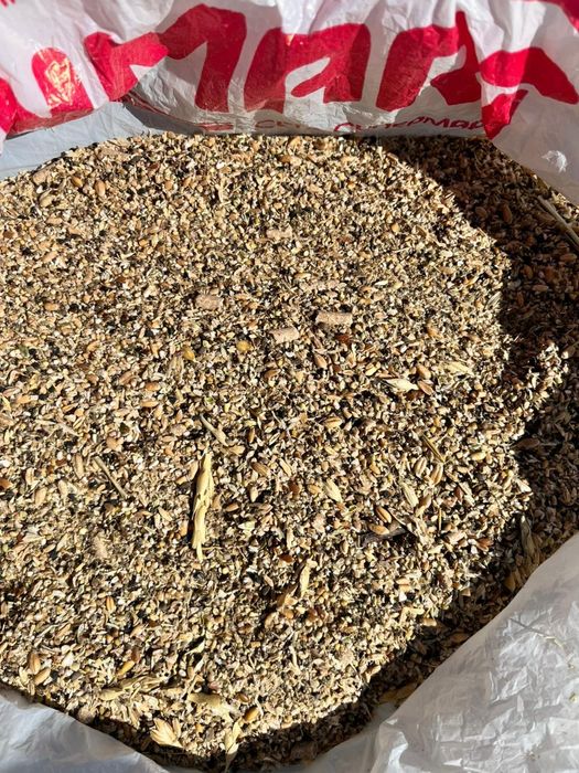 Зерноотходы пшеничные