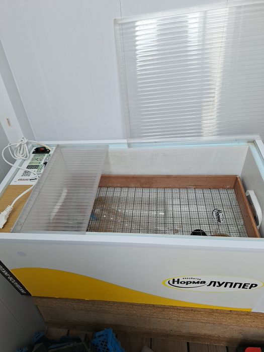 Клетки для перепелов,инкубатор