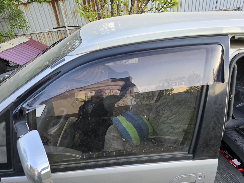 Ветровики делика широкие