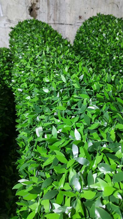 Есо Забор Eco Zabor 78000 Optom