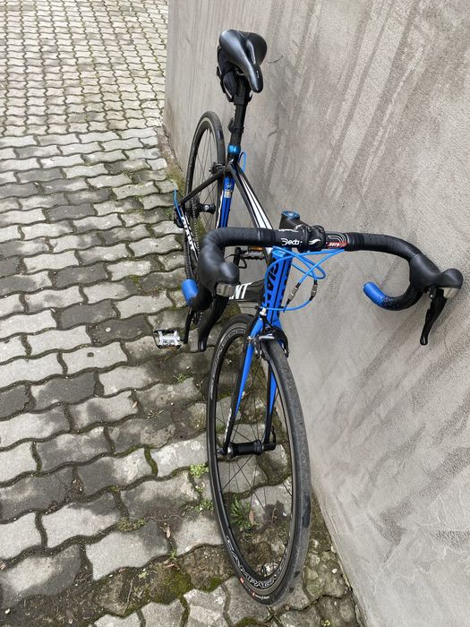 Cursiera Giant TCR