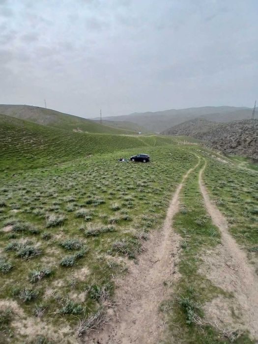 Yashil tabiatga sayohat (mayofka) xizmati