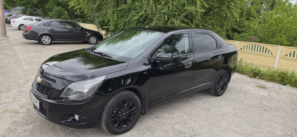 Cobalt midnight MSM