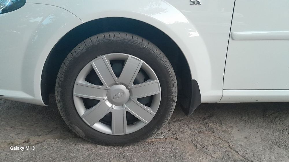 Radnoy jentra bolon R15