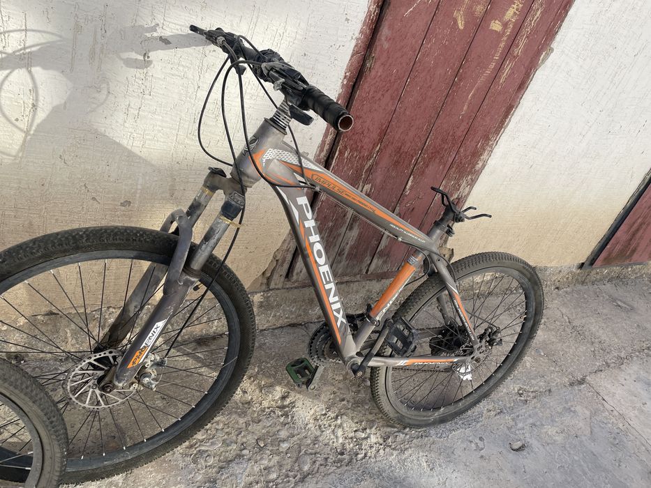 Велик phoenix ..