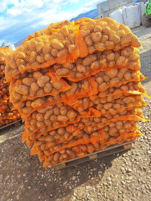 Cartofi Consum Proaspeți și Gustoși