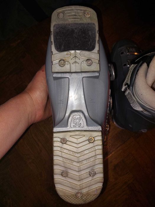 Clapari Salomon de dama (mas. 38) si husa