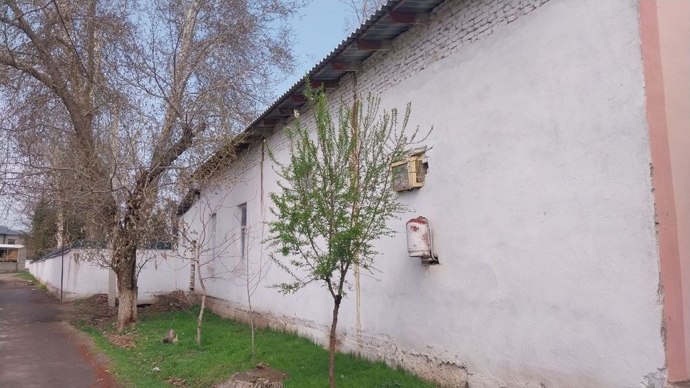 Tadbirkorlik va yashash uchun 10 sutuģ er maydoni va 4 xonali bino