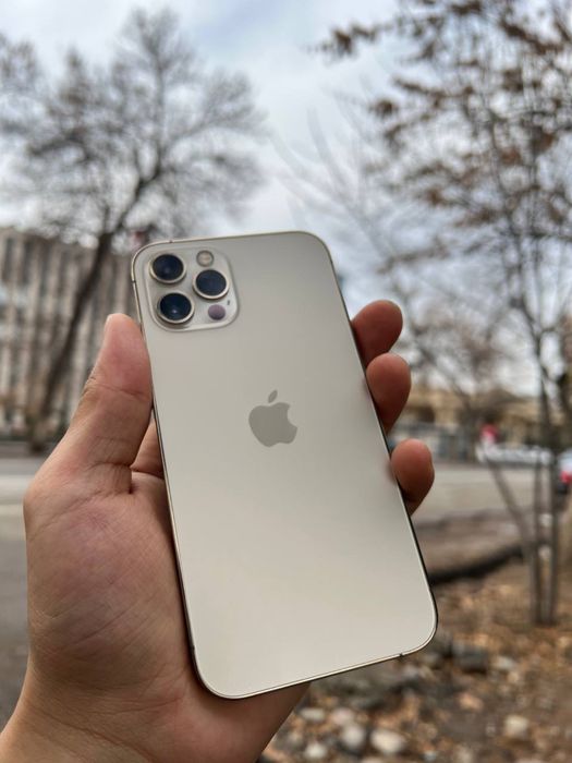 Iphone 12 pro 256 tali ideal