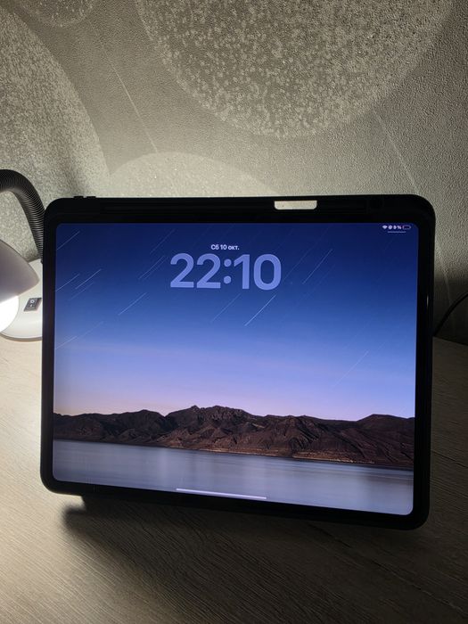 iPad Pro 13" M4, 1Tb, Cellular / Wi-Fi