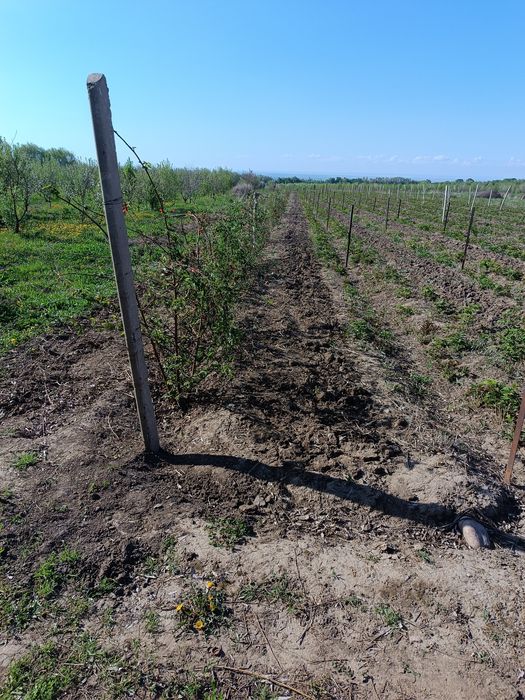 Продам Землю кха