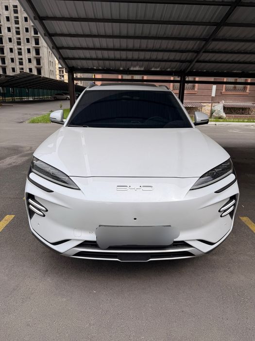 Byd chenpion honr 605