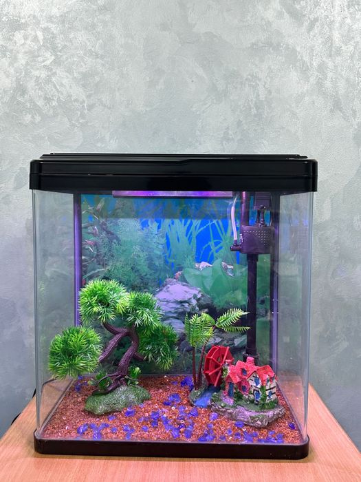 аквариумы новые сборе